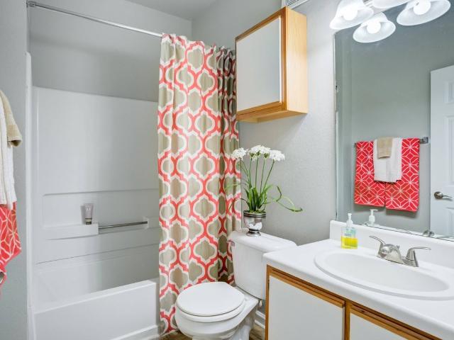 Apartment for rent in Raleigh, Wake County