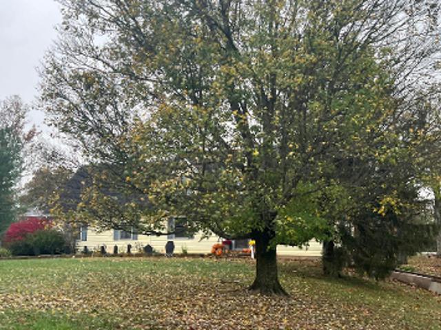 House for sale in Corydon, Indiana