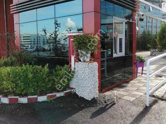 Pendik, İstanbul içerisinde kiralık mülk