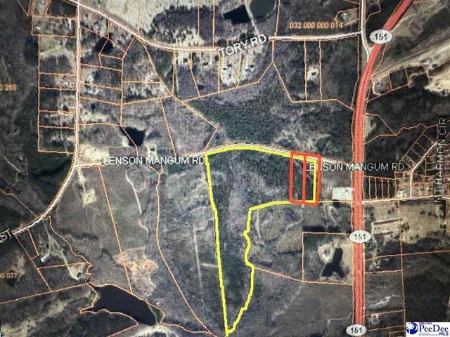 Land for sale in Pageland, South Carolina
