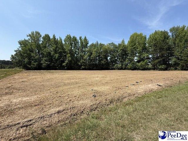 Land for sale in Pageland, South Carolina