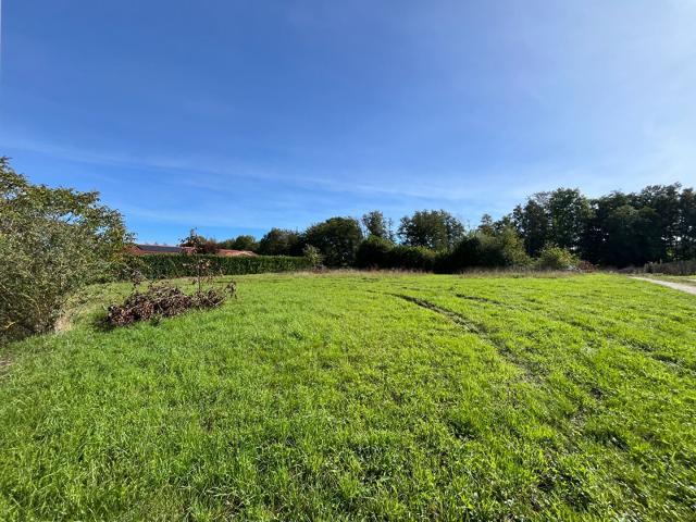 Terrain vente à France métropolitaine, Lent