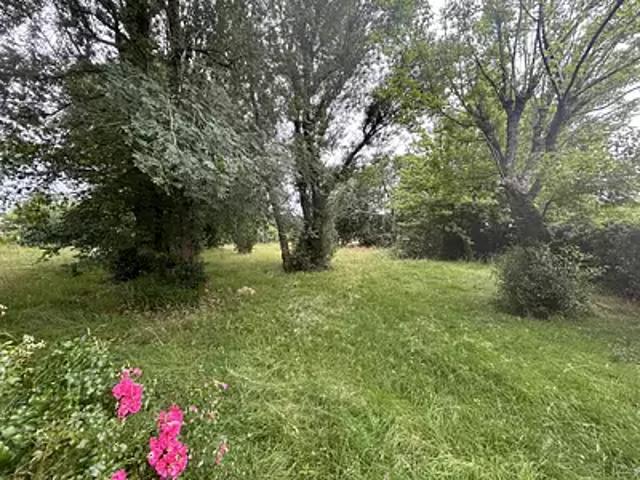 Terrain vente à Bordeaux, Léognan