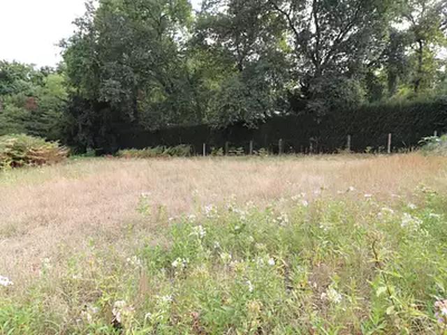 Terrain vente à Bordeaux, Léognan