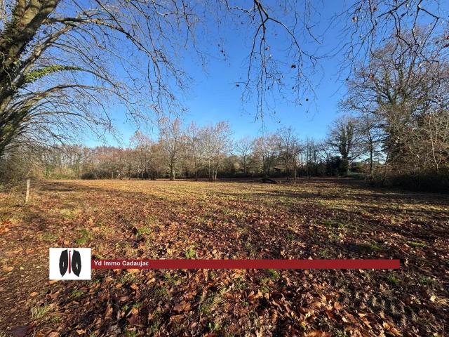 Terrain vente à Bordeaux, Léognan