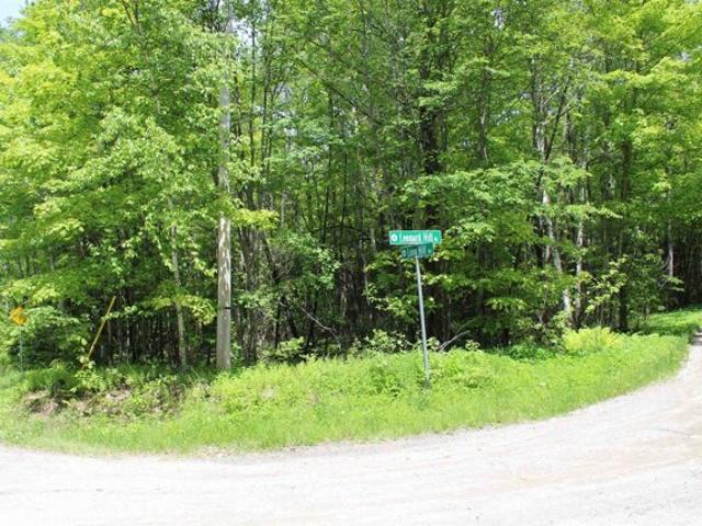 Land for sale in Concord, Vermont
