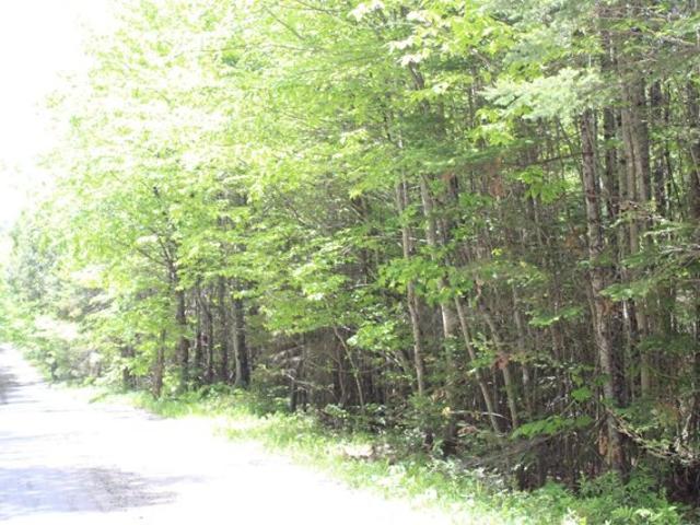Land for sale in Concord, Vermont