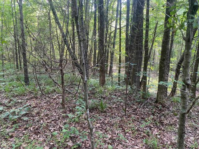 Land for sale in Tennessee