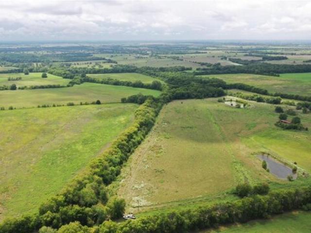 Land for sale in Leonard, Texas