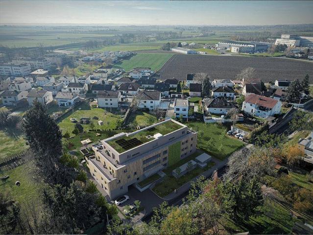 Apartment kaufen in Marchtrenk, Oberösterreich