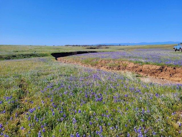 Land for sale in Anderson, Shasta County