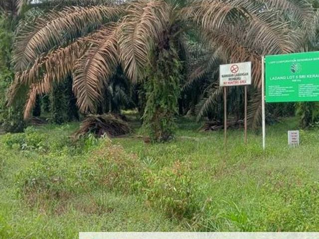 Shop for sale in Pahang