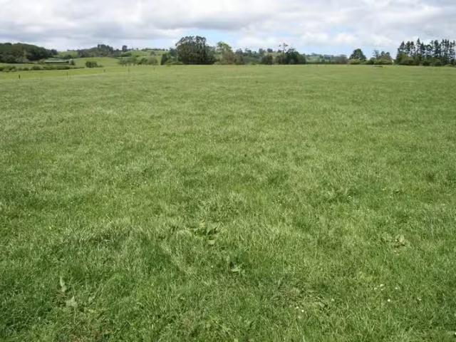 House for rent in Lepperton, Taranaki
