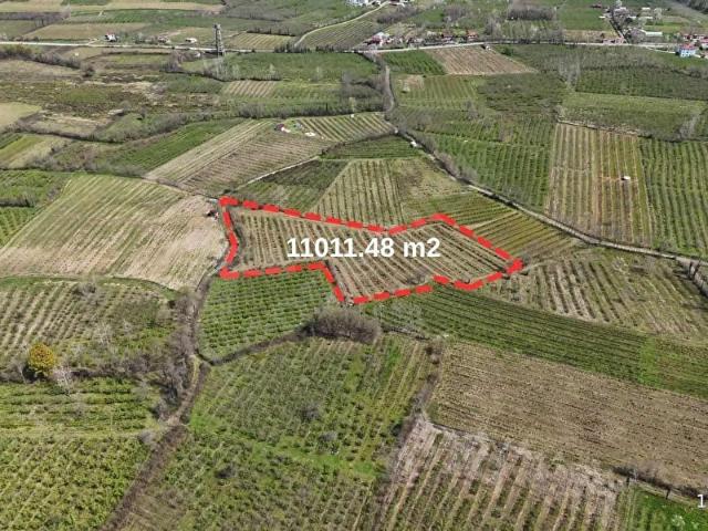 Terme, Samsun içerisinde satılık Arsa
