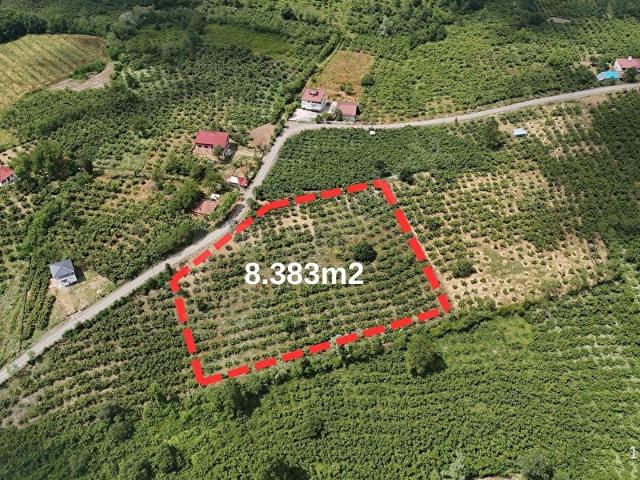 Terme, Samsun içerisinde satılık mülk