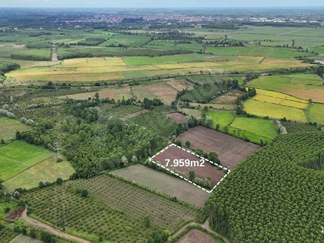 Hüseyinmescit, Terme içerisinde satılık Arsa