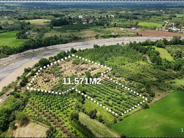 Terme, Samsun içerisinde satılık Arsa