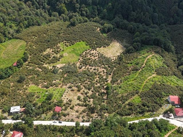 Salipazari, Samsun içerisinde satılık Arsa