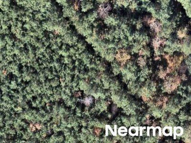 Property for sale in Ninety Six, South Carolina