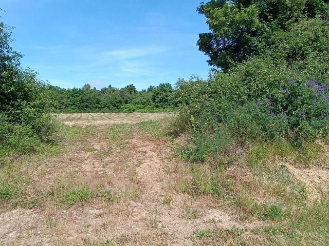 Terrain vente à Bourges, Les Aix-d'angillon
