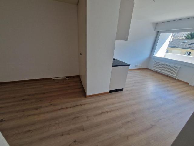 Apartment mieten in Les Mayens-de-Sion, Wallis