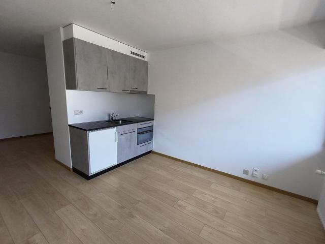 Apartment mieten in Les Mayens-de-Sion, Wallis