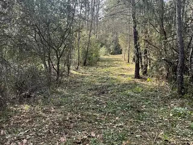 Terrain vente à Arrondissement de Draguignan, Les Arcs