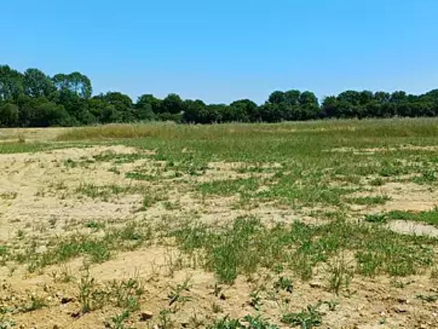 Terrain vente à La Roche-sur-Yon, Les Brouzils