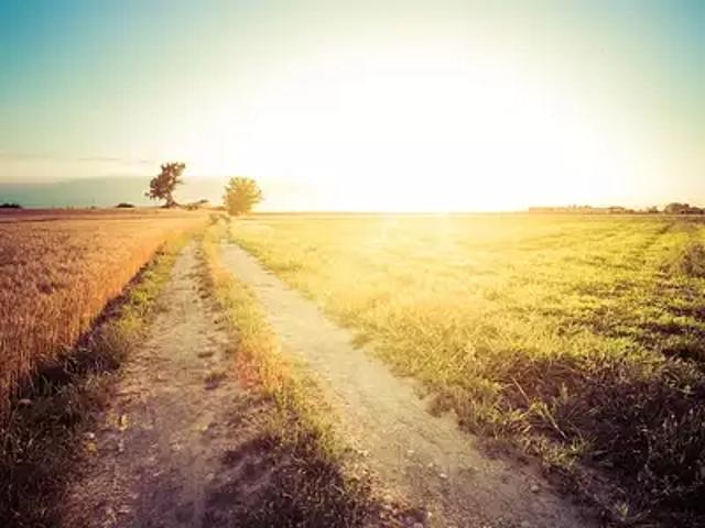 Terrain vente à La Roche-sur-Yon, La Roche-sur-yon