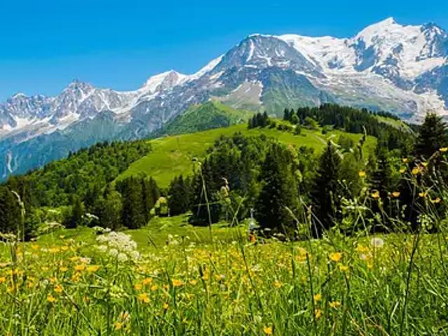 Terrain vente à Céret, Les Cluses