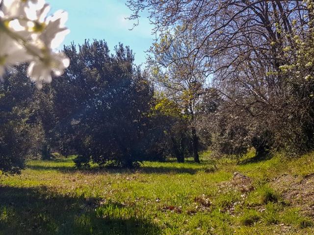 Terrain vente à Céret, Les Cluses