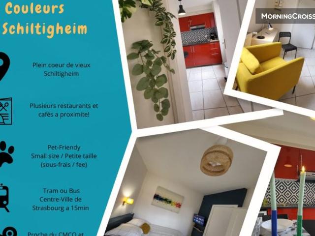 Appartement location à Strasbourg, Schiltigheim