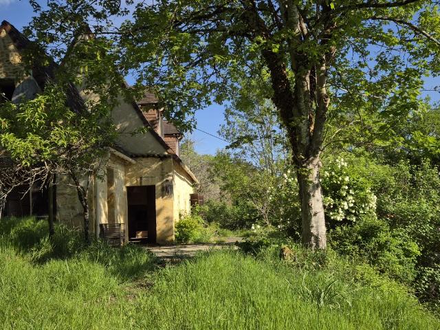 Maison vente à Sarlat-la-Canéda, Les Eyzies-de-tayac-sireuil