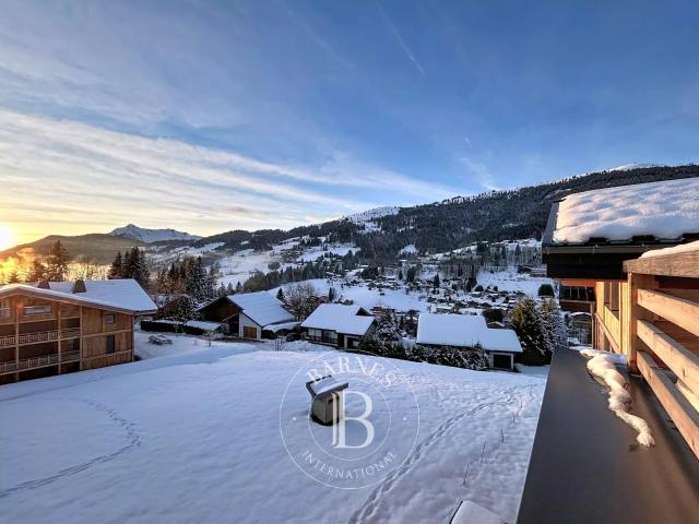 Appartement vente à Thonon-les-Bains, Les Gets