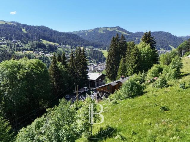 Maison vente à Thonon-les-Bains, Les Gets