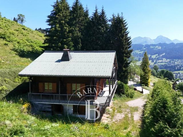 Maison vente à Thonon-les-Bains, Les Gets