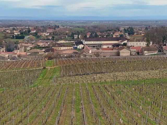Terrain vente à Mâcon, Viré