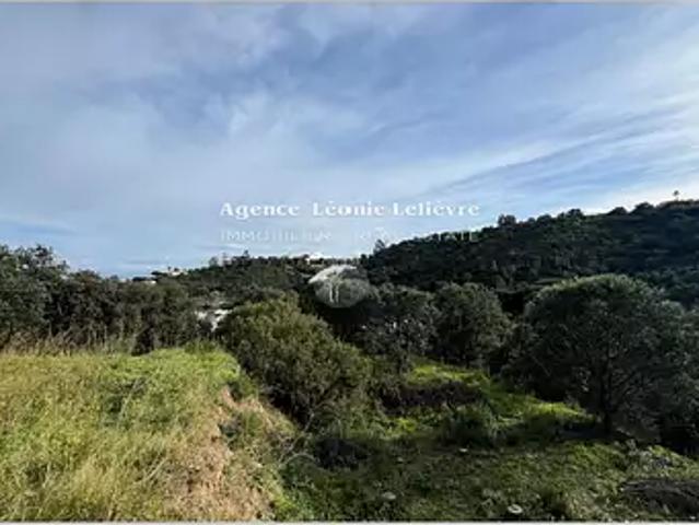 Terrain vente à Arrondissement de Draguignan, Roquebrune-sur-argens