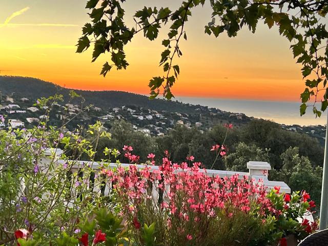 Maison vente à Arrondissement de Draguignan, Roquebrune-sur-argens