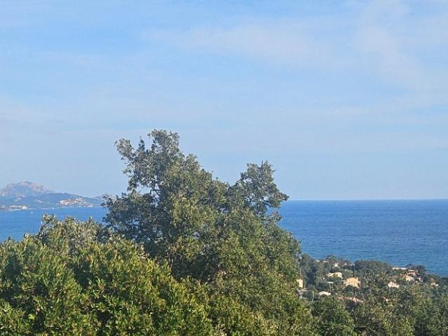 Terrain vente à Arrondissement de Draguignan, Roquebrune-sur-argens