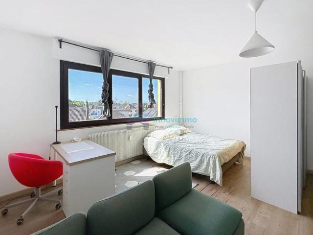Appartement location à Strasbourg, Illkirch-graffenstaden