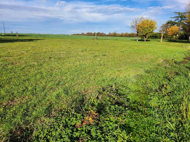 Terrain vente à Les Magnils-reigniers, Vendée