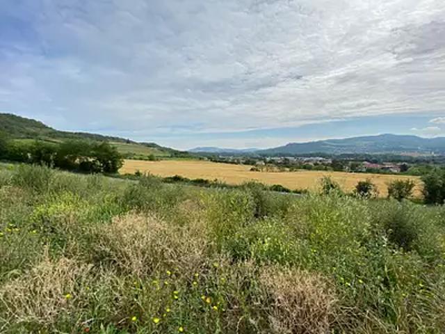Terrain vente à Clermont-Ferrand, Les Martres-de-veyre