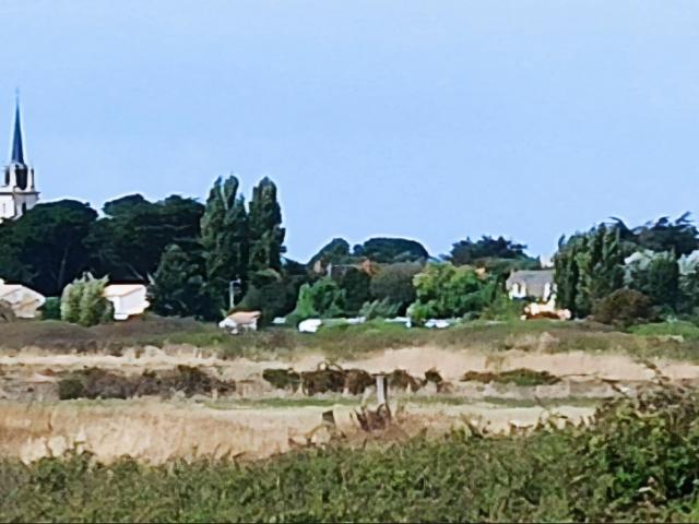 Terrain vente à Les Moutiers-en-Retz, Loire-Atlantique