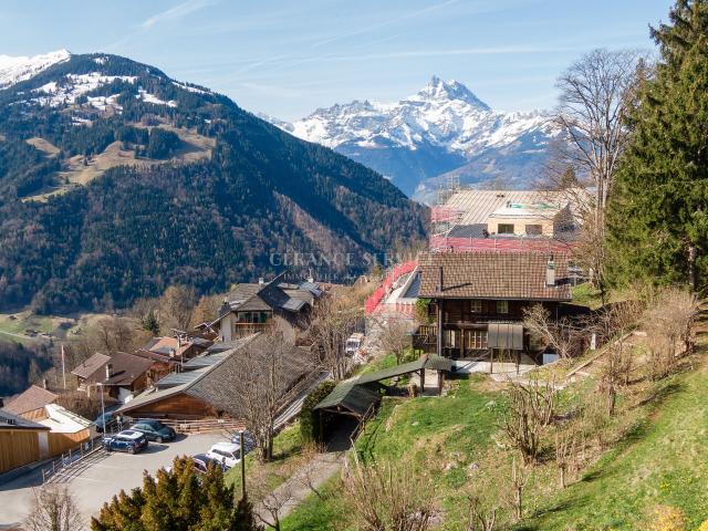 Haus kaufen in Gryon, Waadt