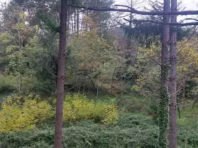 Terrain vente à Privas, Les Ollières-sur-eyrieux