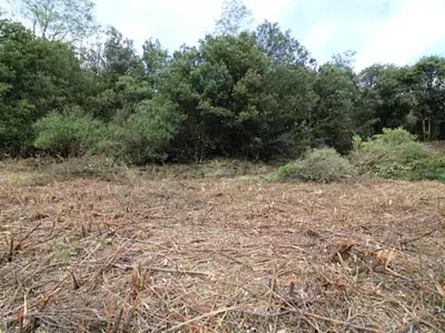Terrain vente à Le Vigan, Les Plantiers