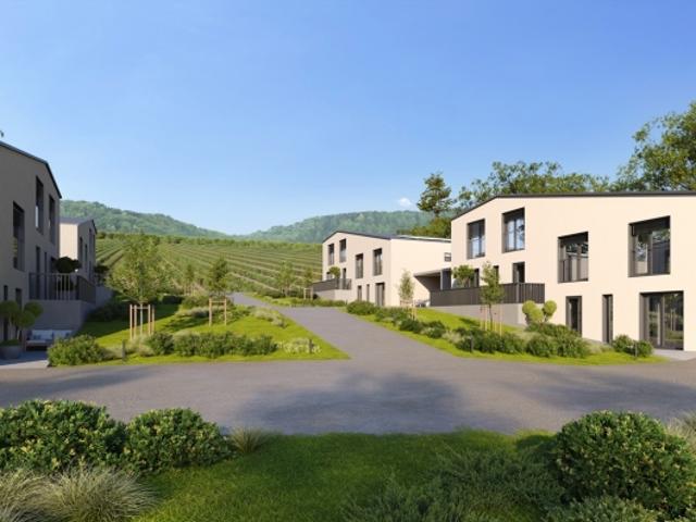 Einfamilienhaus kaufen in Cressier (NE)