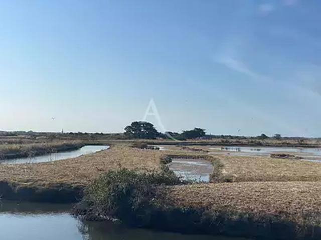 Terrain vente à Les Sables-d'Olonne, Château-d'olonne