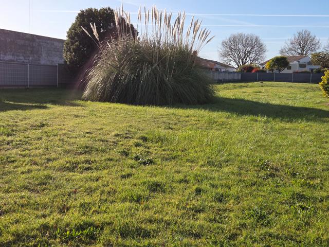 Terrain vente à Les Sables-d'Olonne, Château-d'olonne